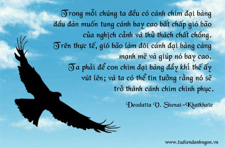 42-danh-ngon-hoai-bao-canh-chim-dai-bang