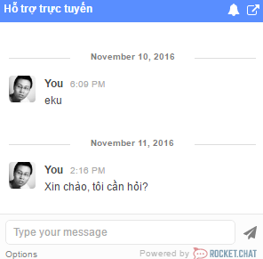 Hỗ trợ 24/7 trên website 